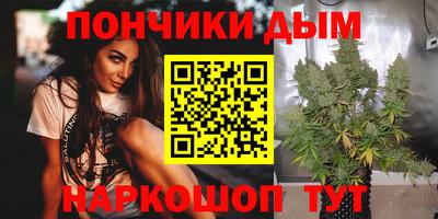 шишки Тулун