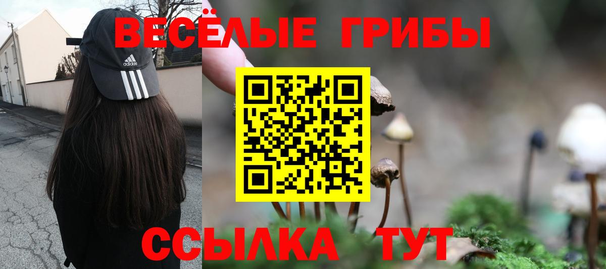 Галлюциногенные грибы мухоморы Муром