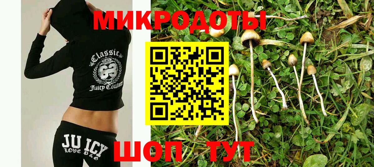 Муром  Псилоцибиновые грибы GOLDEN TEACHER  Вход с VPN  где можно купить   Галлюциногенные грибы мицелий 